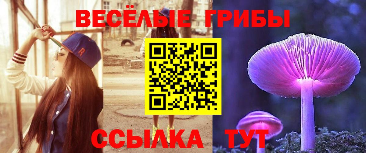 где найти   Вход с VPN  Артём  Псилоцибиновые грибы прущие грибы 